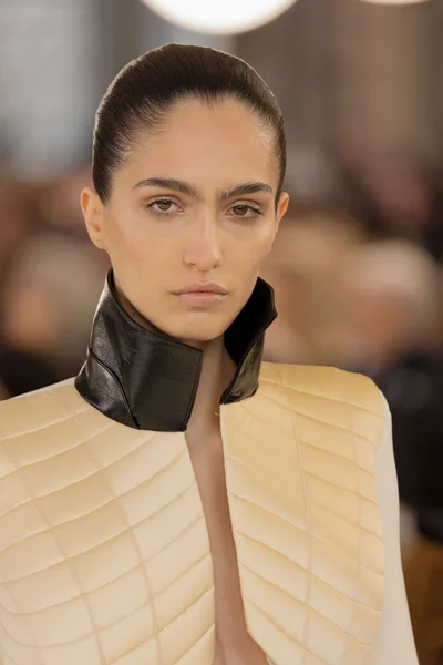 Look 53